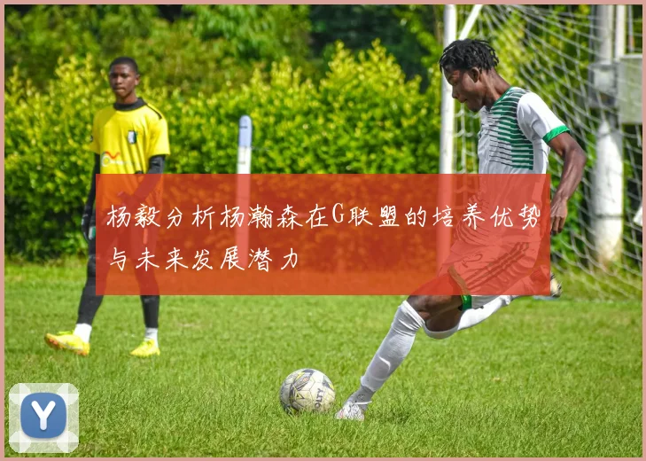 杨毅分析杨瀚森在G联盟的培养优势与未来发展潜力