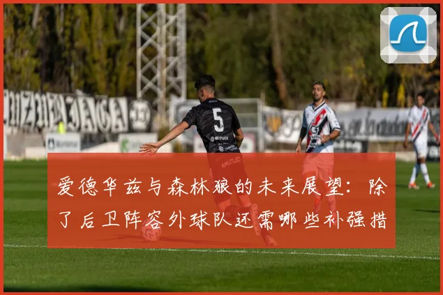爱德华兹与森林狼的未来展望：除了后卫阵容外球队还需哪些补强措施