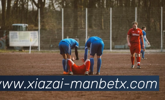 App Interface Preview